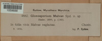 Gloeosporium malvae image